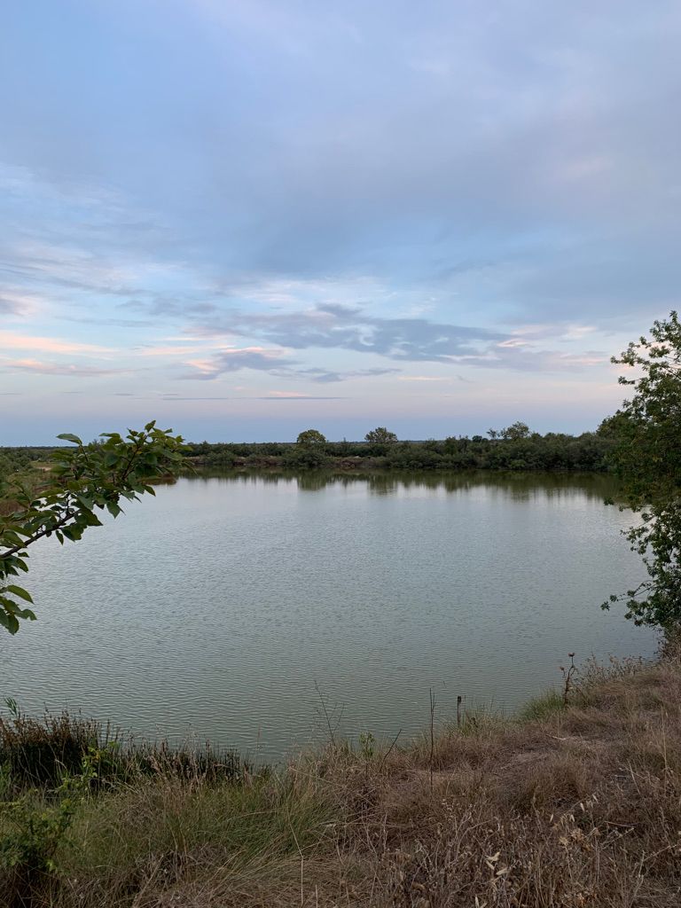 un étang près de la Grand Motte