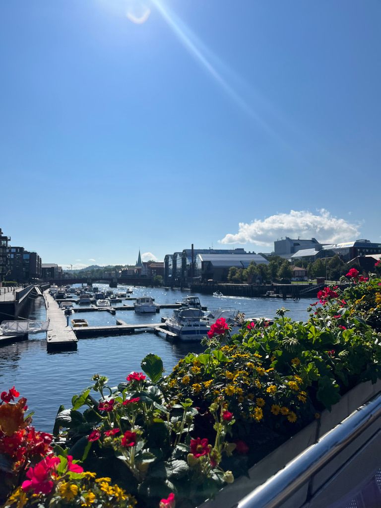 Un pont avec vue sur Trondheim