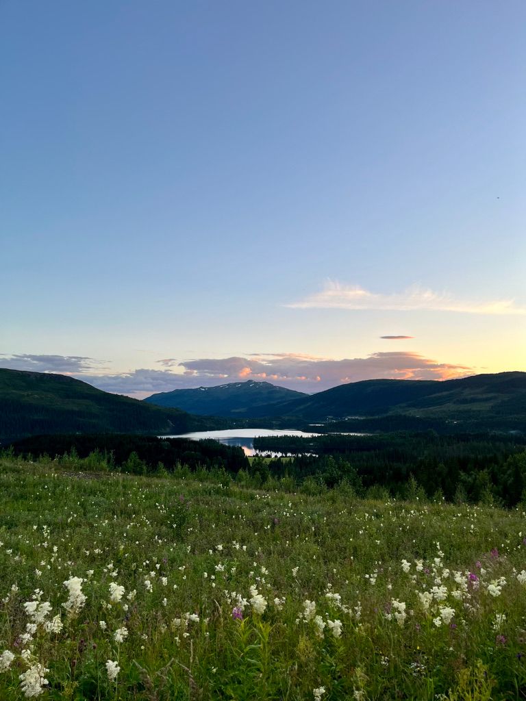 Spot près du cercle polaire en Norvège