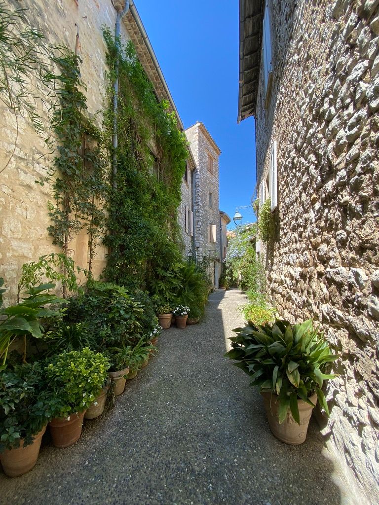 Une ruelle de Saint Paul de Vence