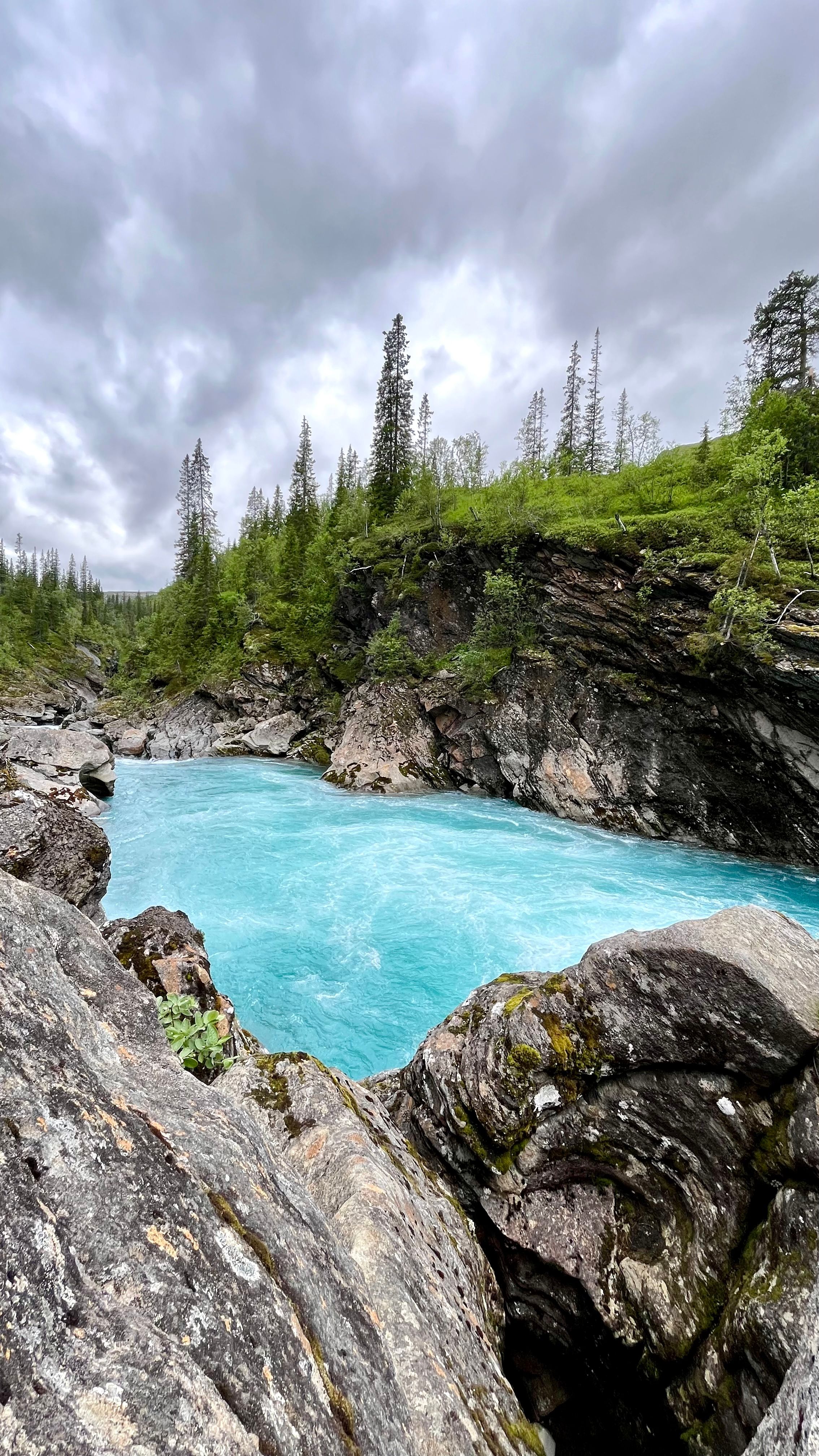 Eau bleu turquoise et sapins verts autour de la rivière Glomaga en Norvège