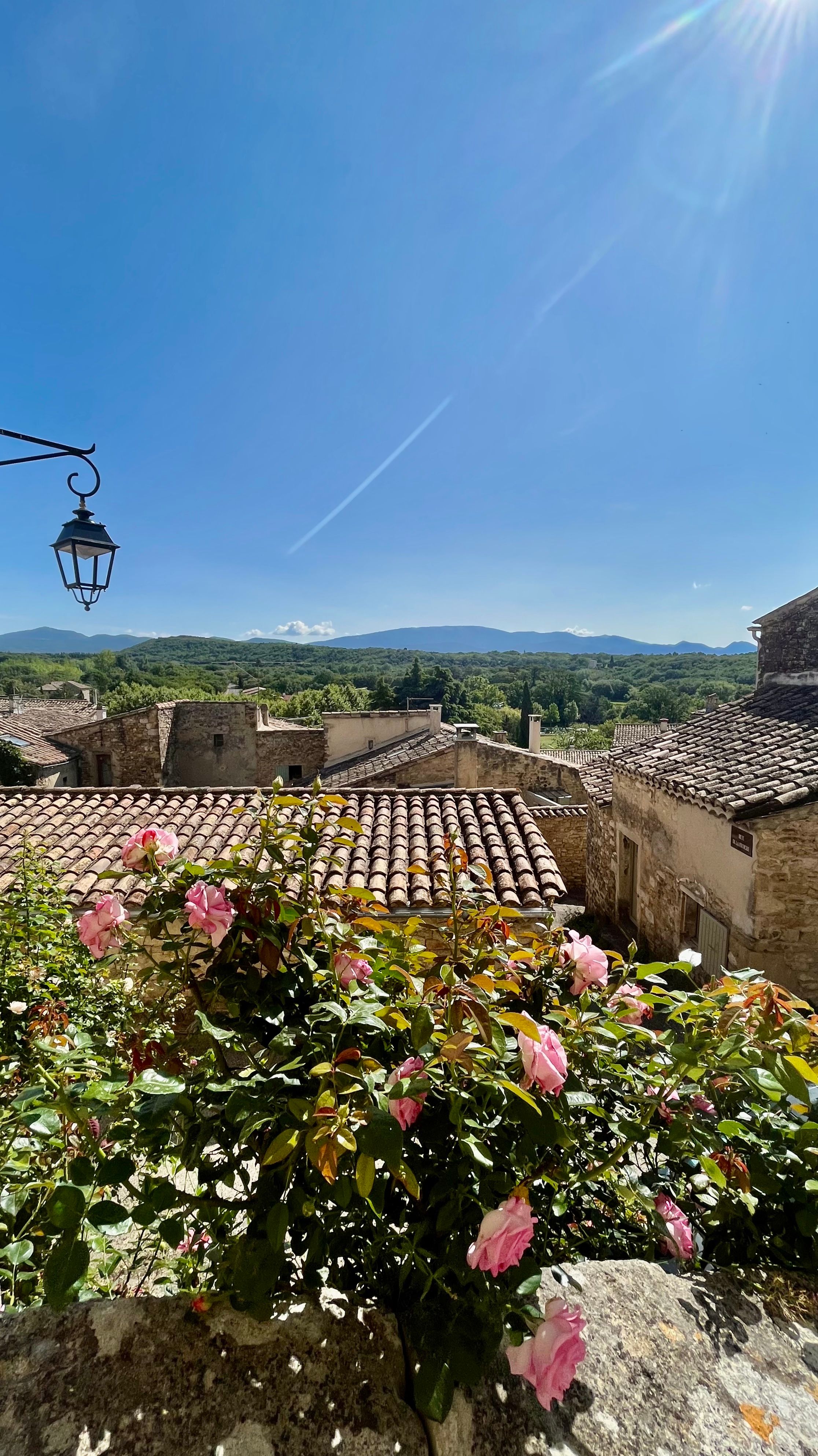 Des roses au premier plan avec les maisons du village de Grignan et les Baronnies en fond