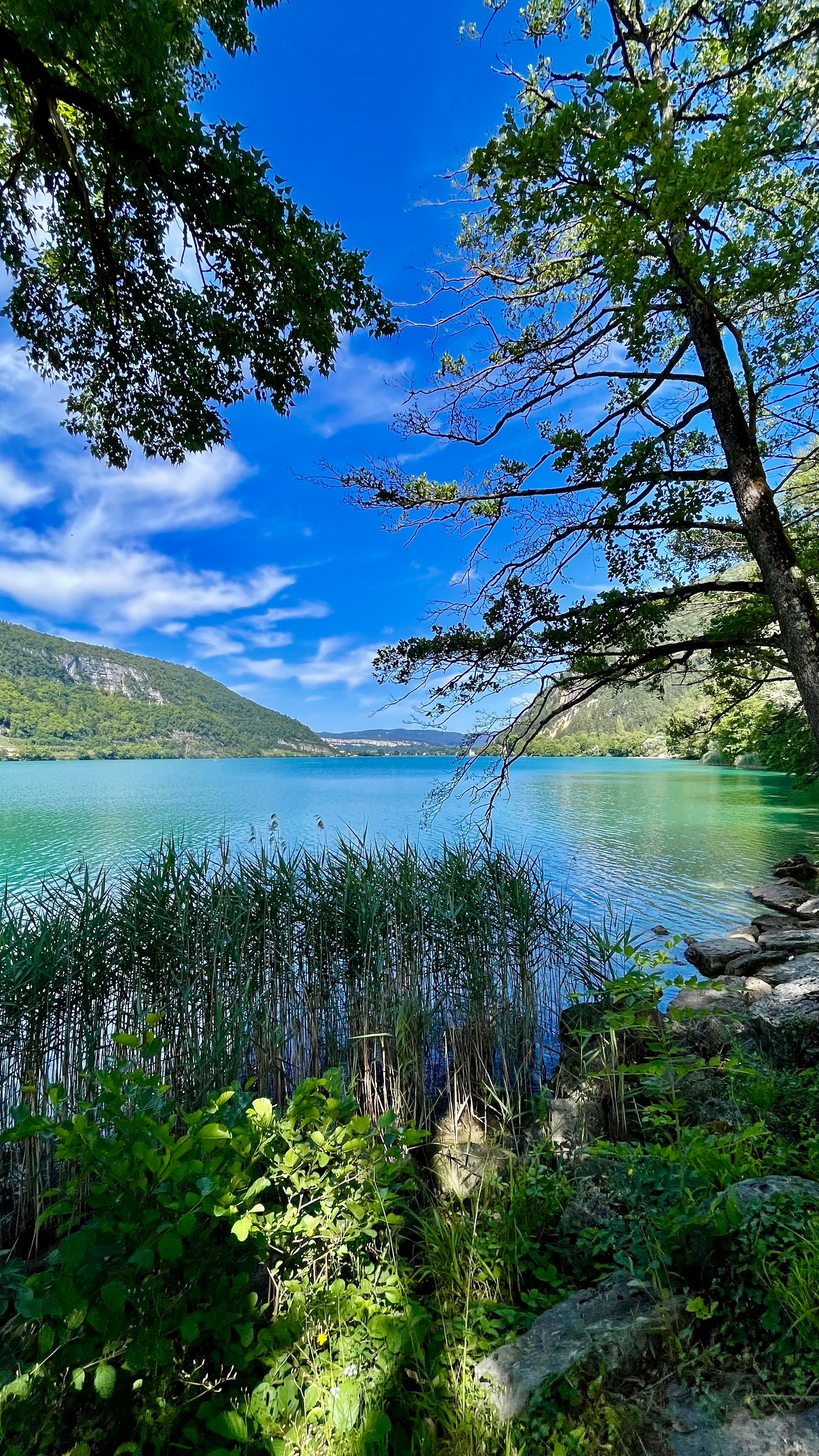 Vue depuis des arbres du lac de Nantua avec les montagnes en fond