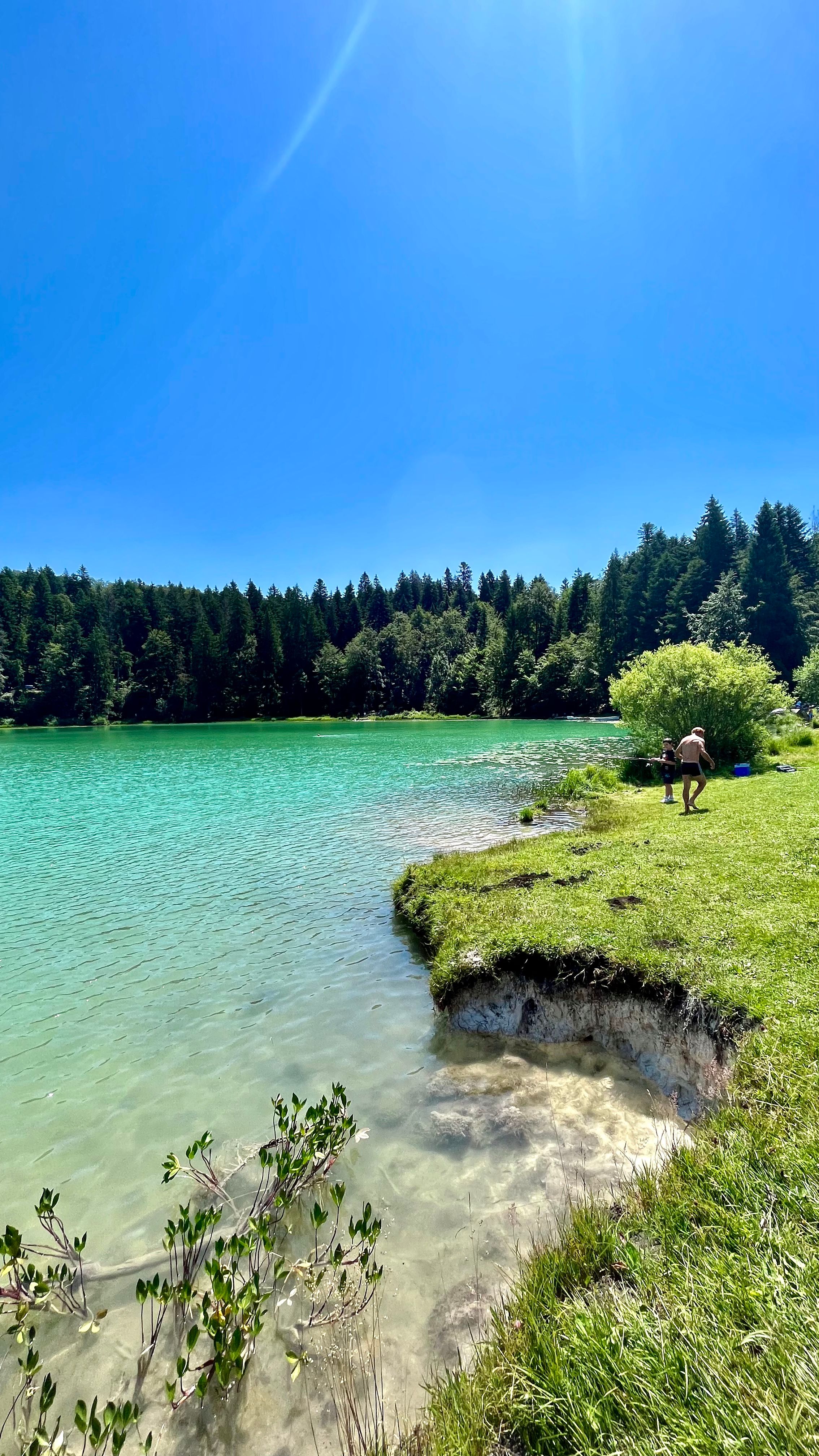 Le lac génin vert avec une forêt de pins autour