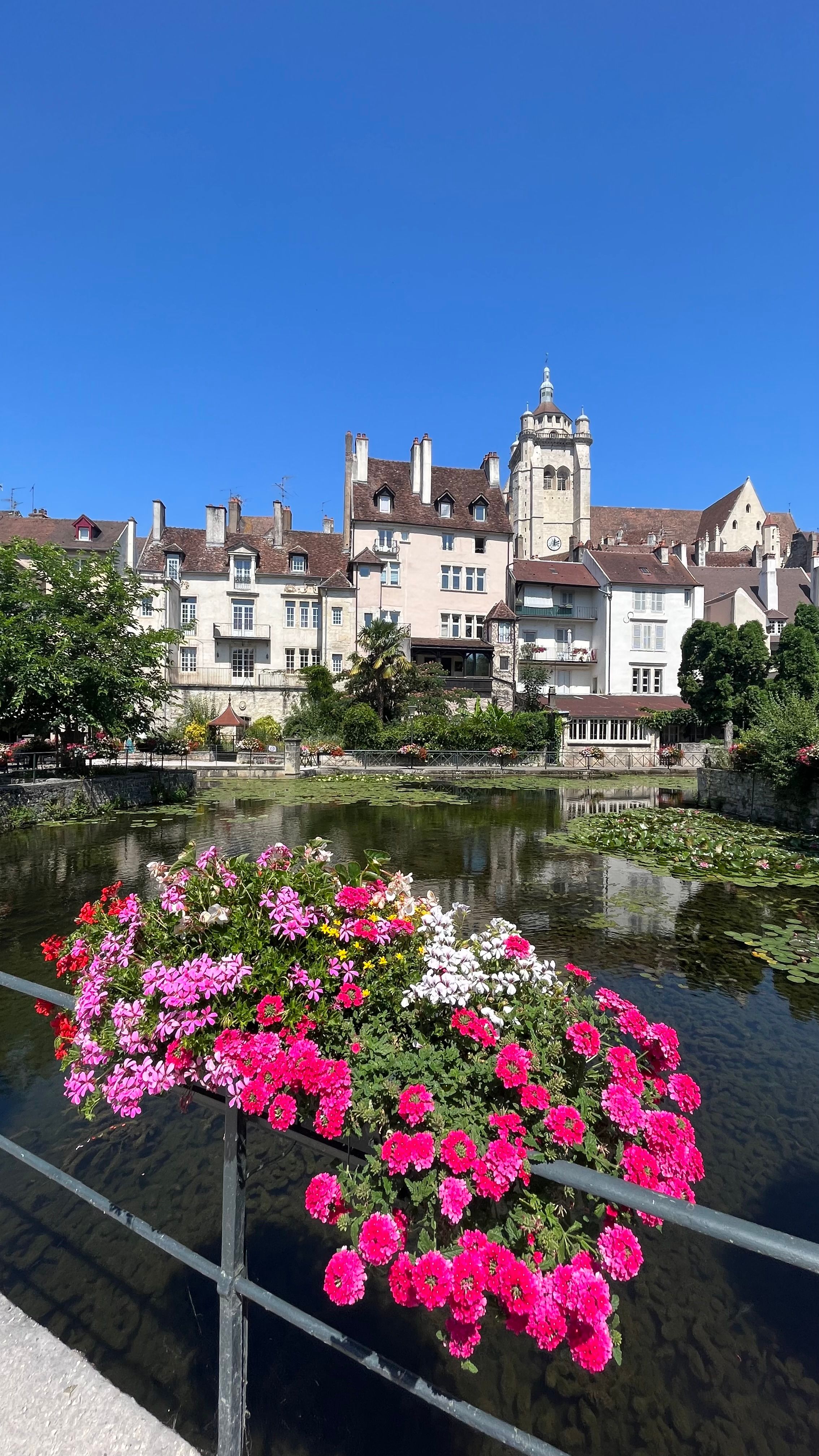 Le doubs avec en fond la ville de Dole