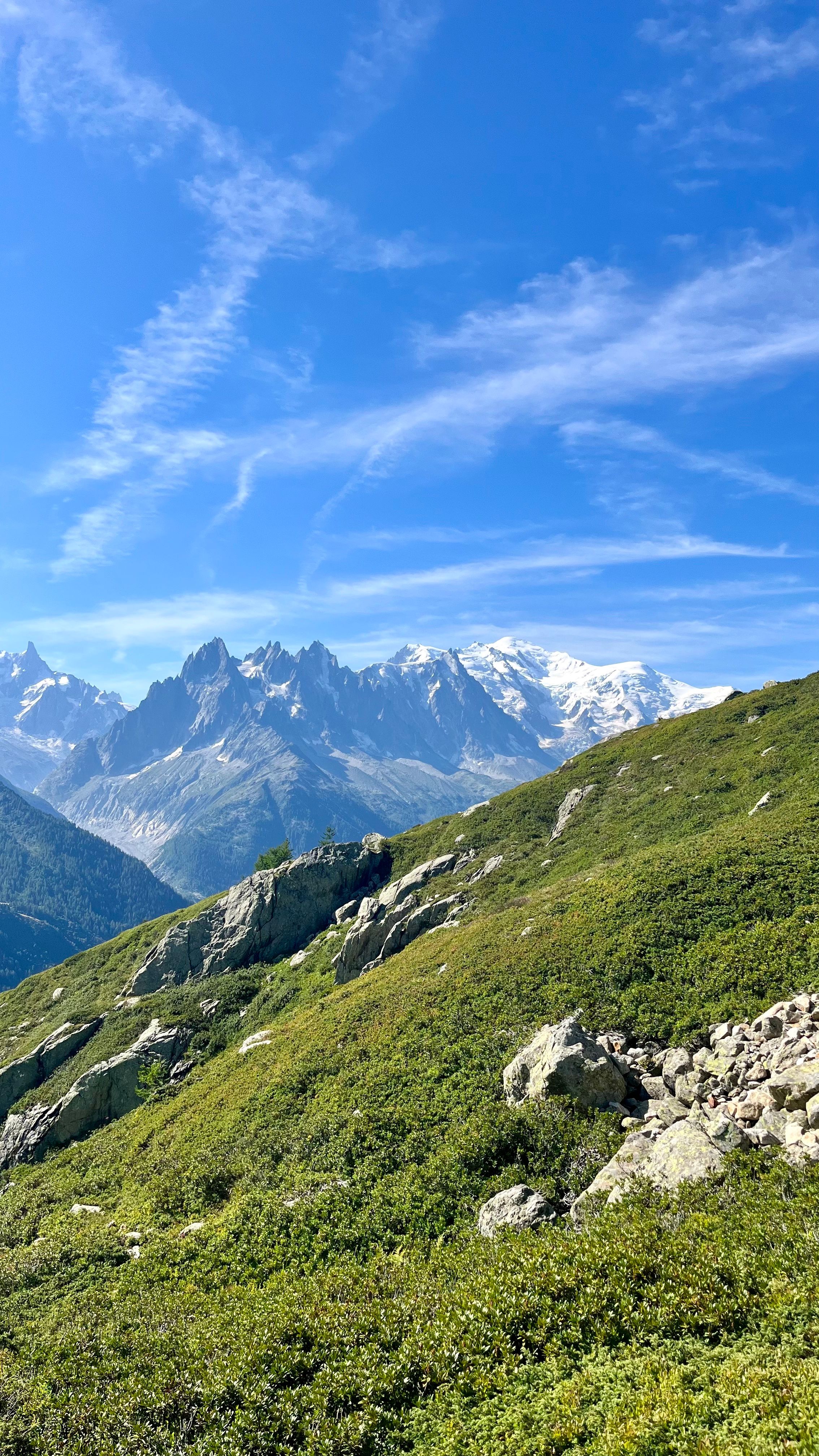 Vue sur les Alpes et le Mont Blanc depuis la randonnée du Lac Blanc