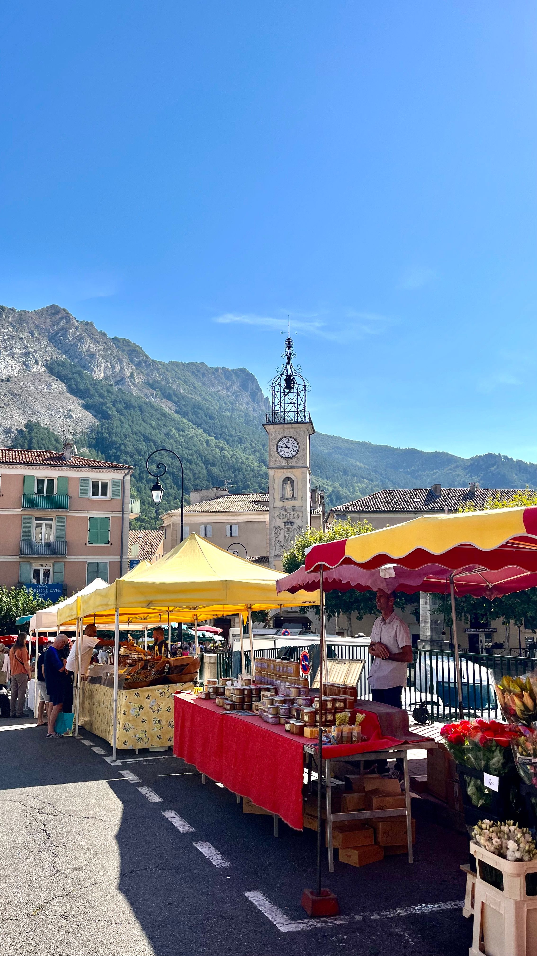 Le marché de Sisteron avec vue sur les montagnes