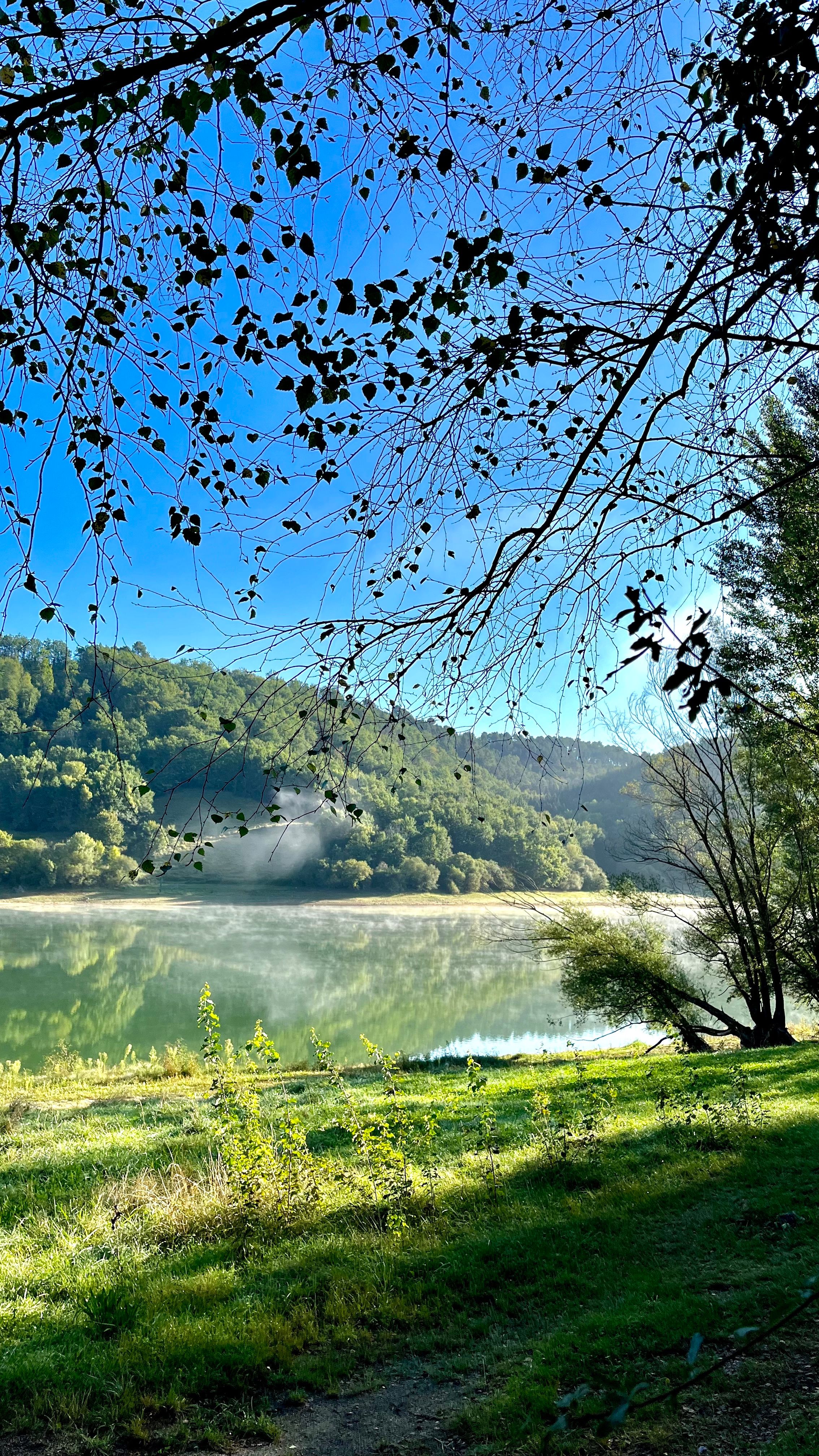 Le Lac de Mondély au lever du soleil avec la brume