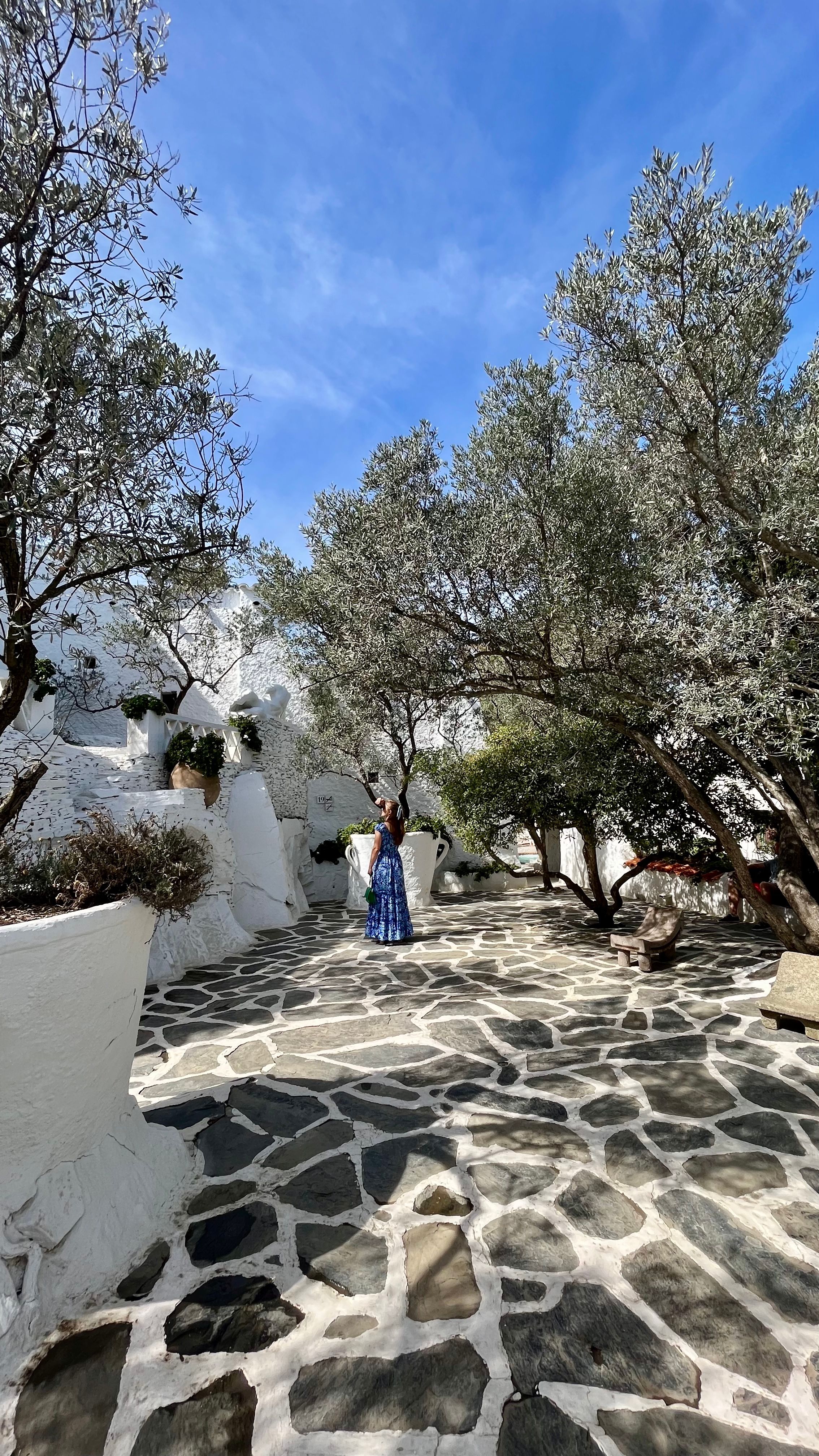 Une partie du jardin de la maison de Dali à Portlligat