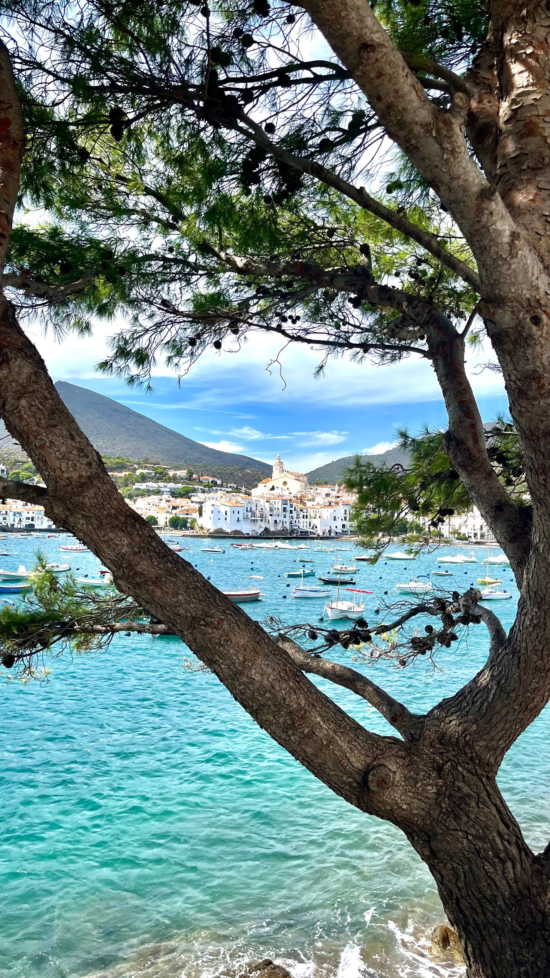 Vue de Cadaqués et de son port depuis une crique