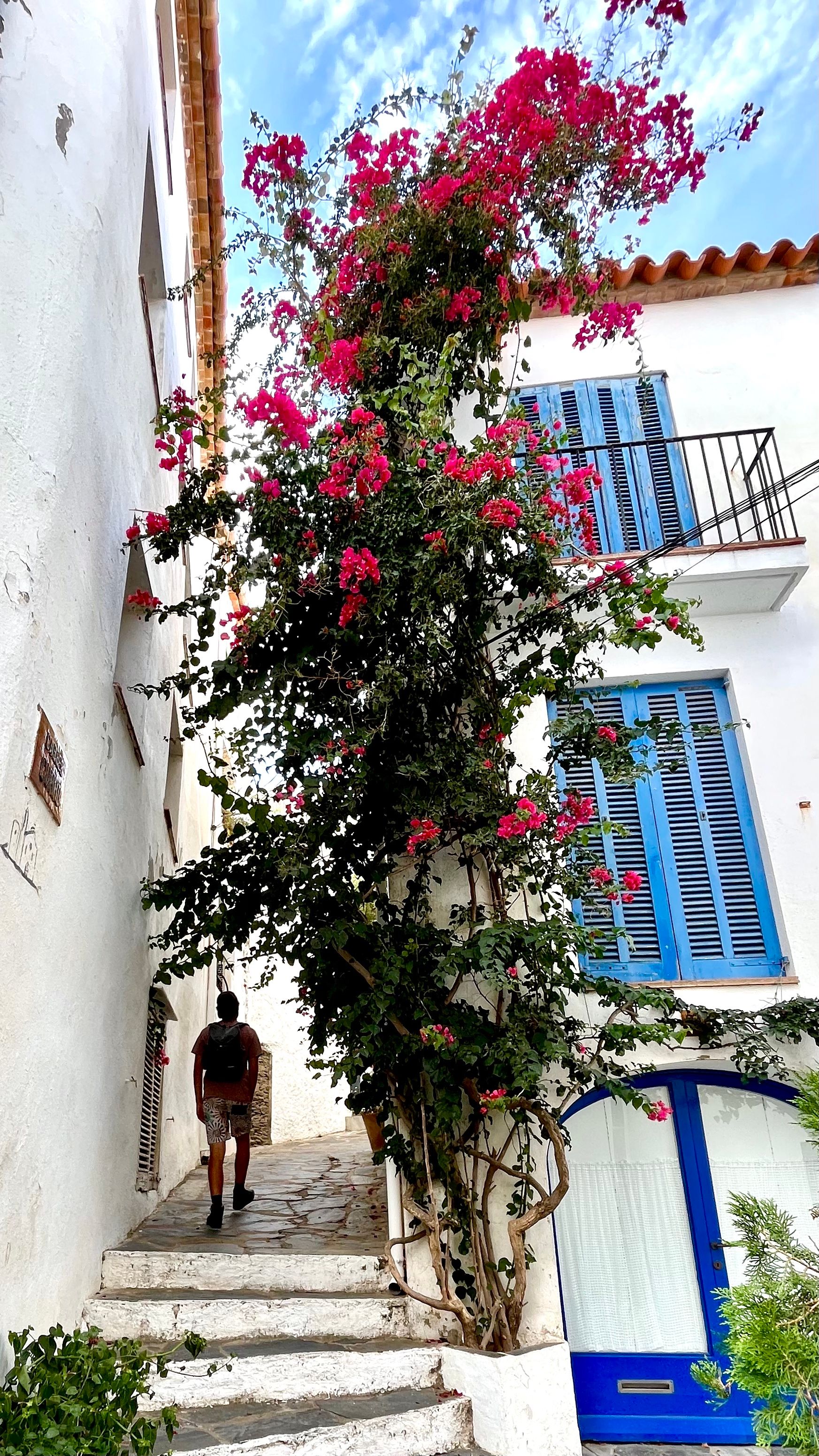 Une ruelle blanche dans Cadaqués avec du Bougainvilliers