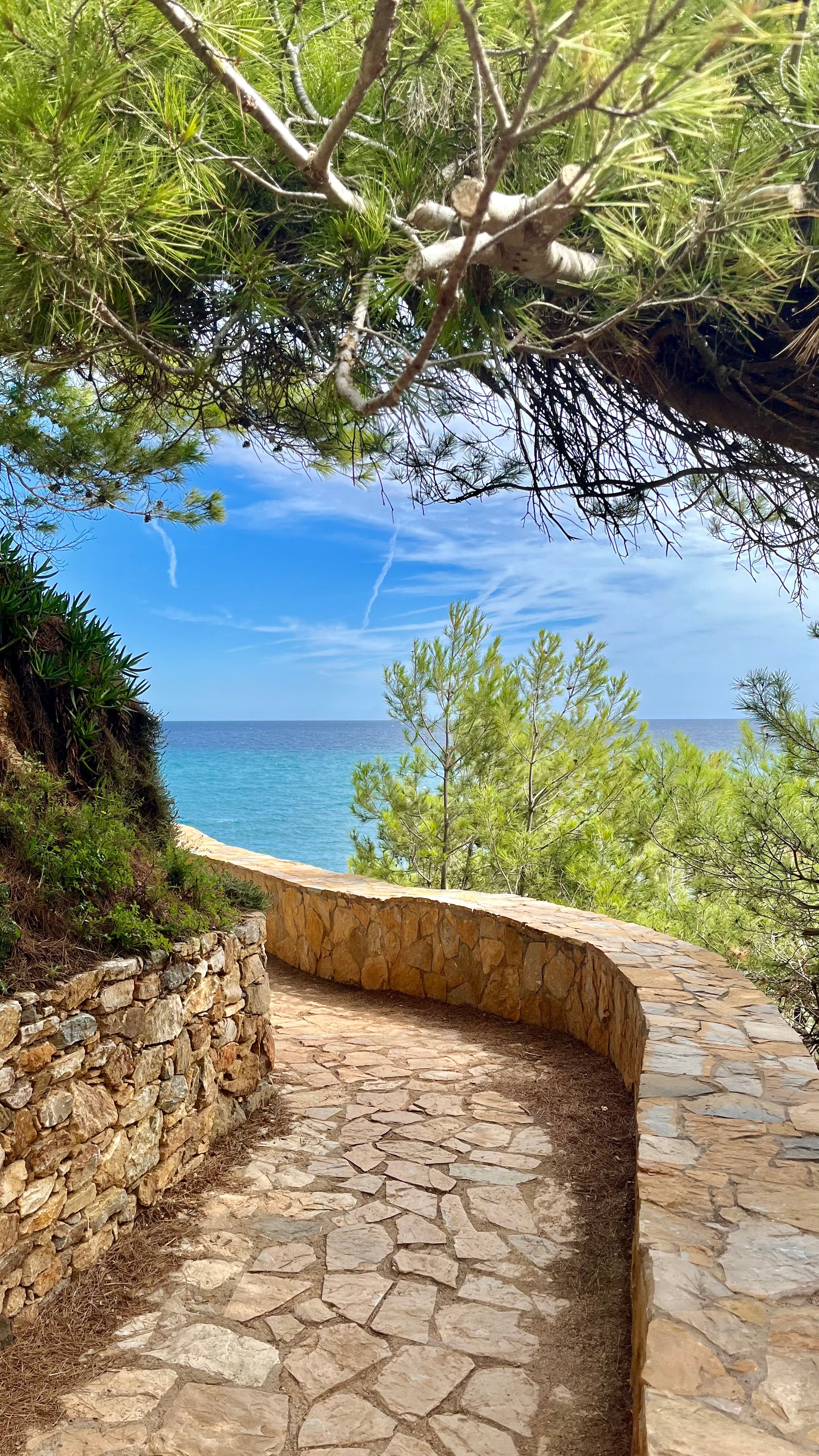 Un chemin de randonnée autour de Sa Riera sur la Costa Brava en Espagne