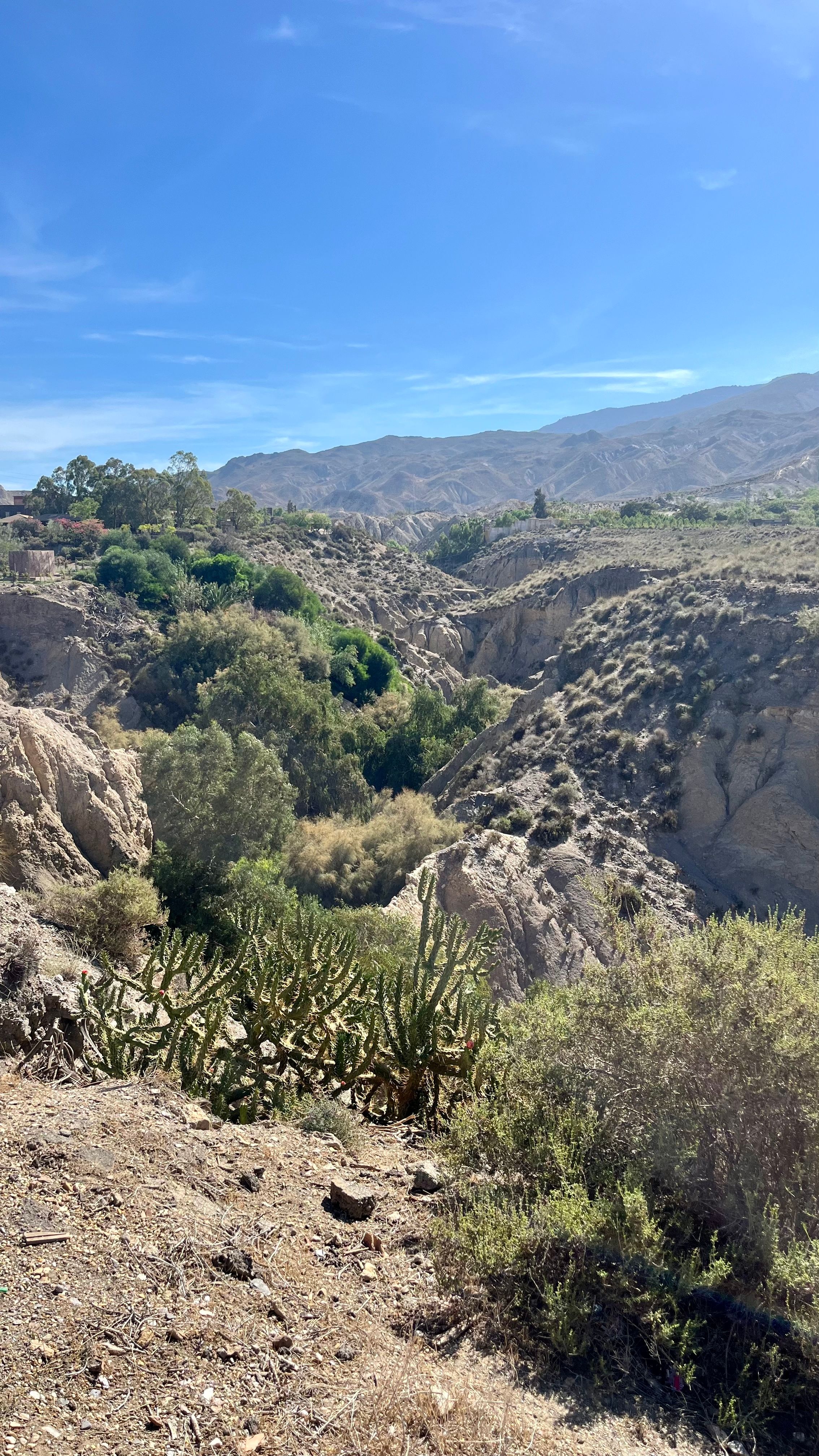 Une vue dans le désert des tabernas