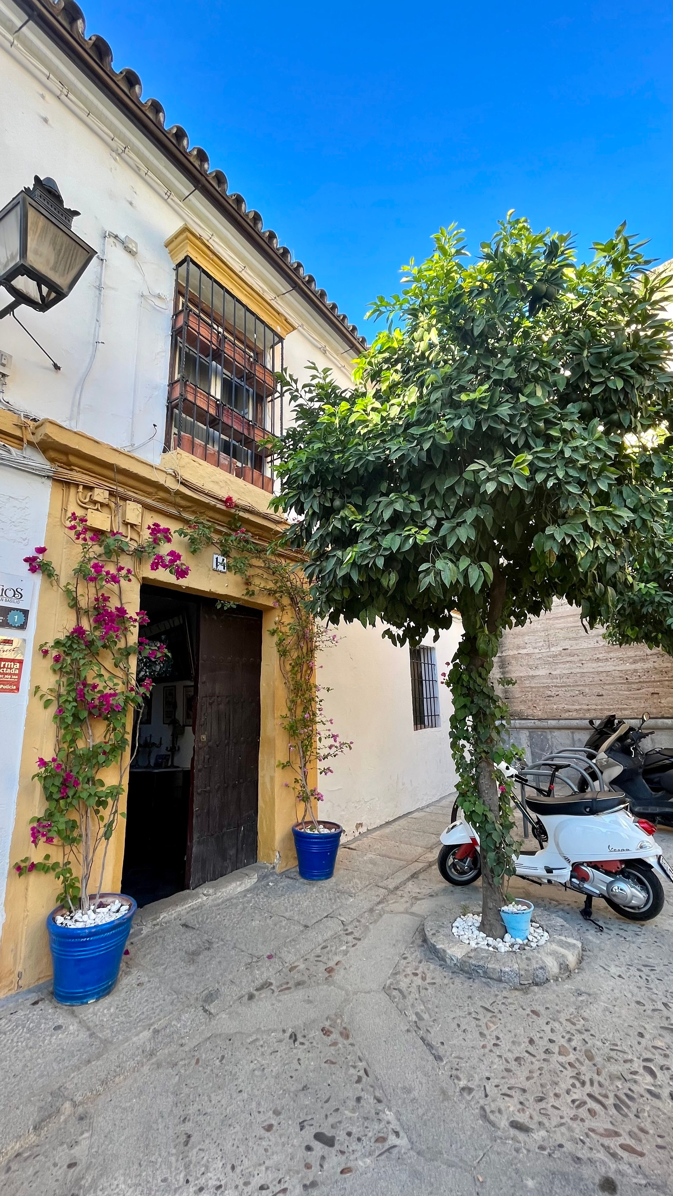 Une ruelle de Cordoue en Andalousie avec un scooter et un oranger