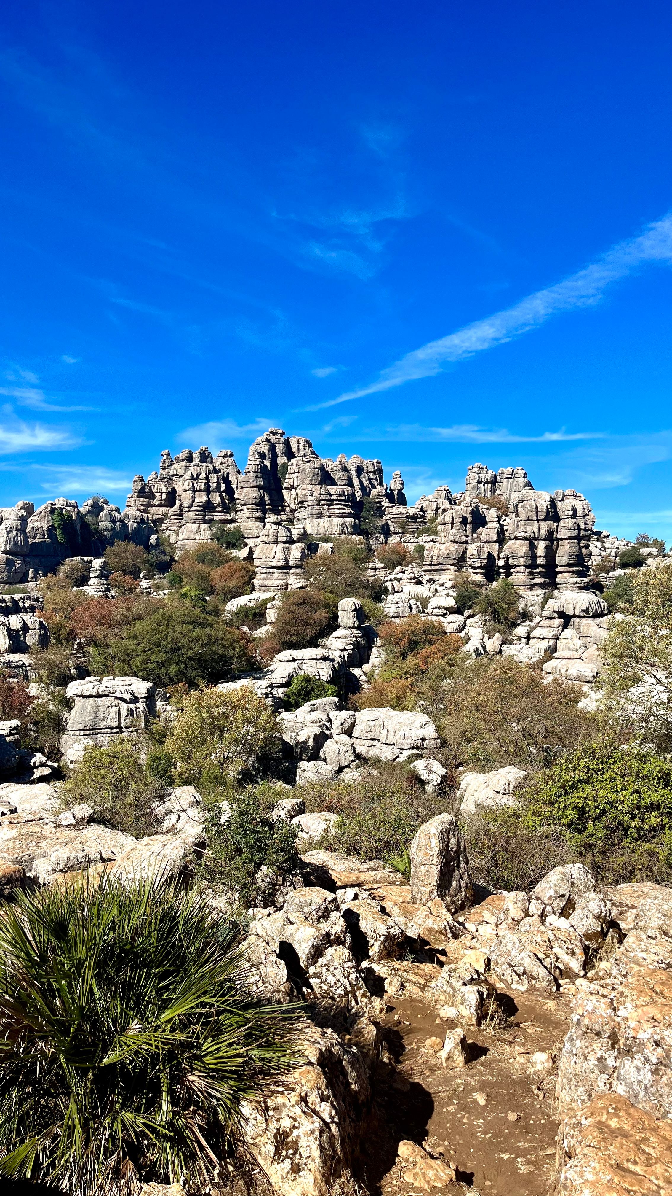 Une vue depuis la randonnée d'El Torcal en Espagne