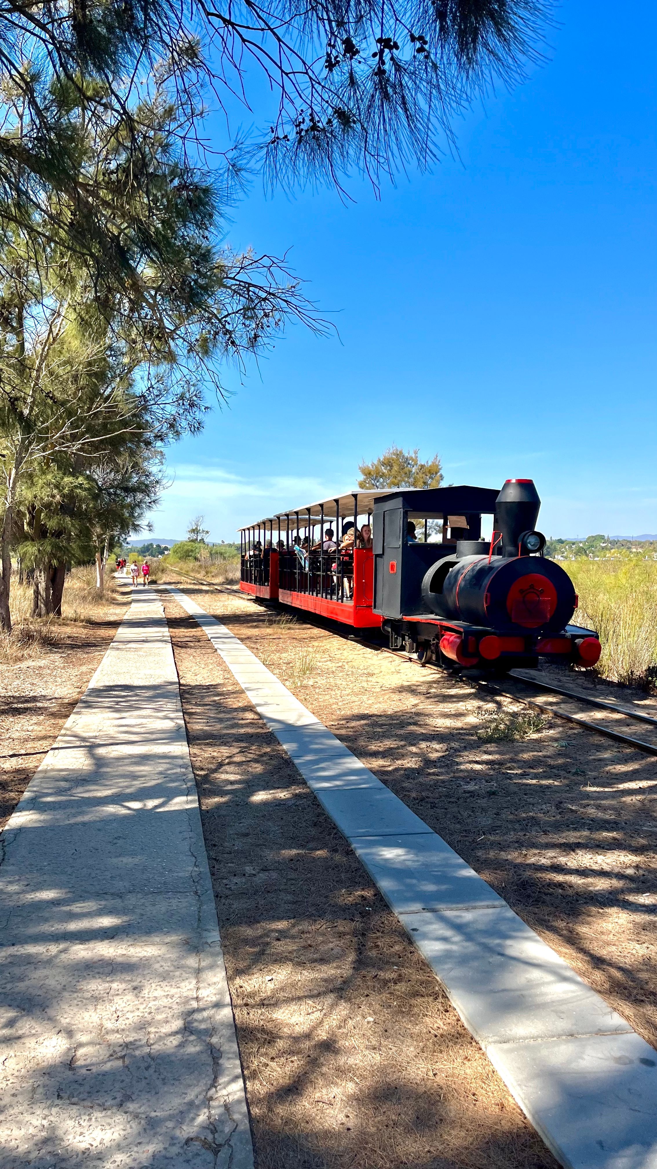 Le petit train qui rejoint la Praia Do Barril au Portugal