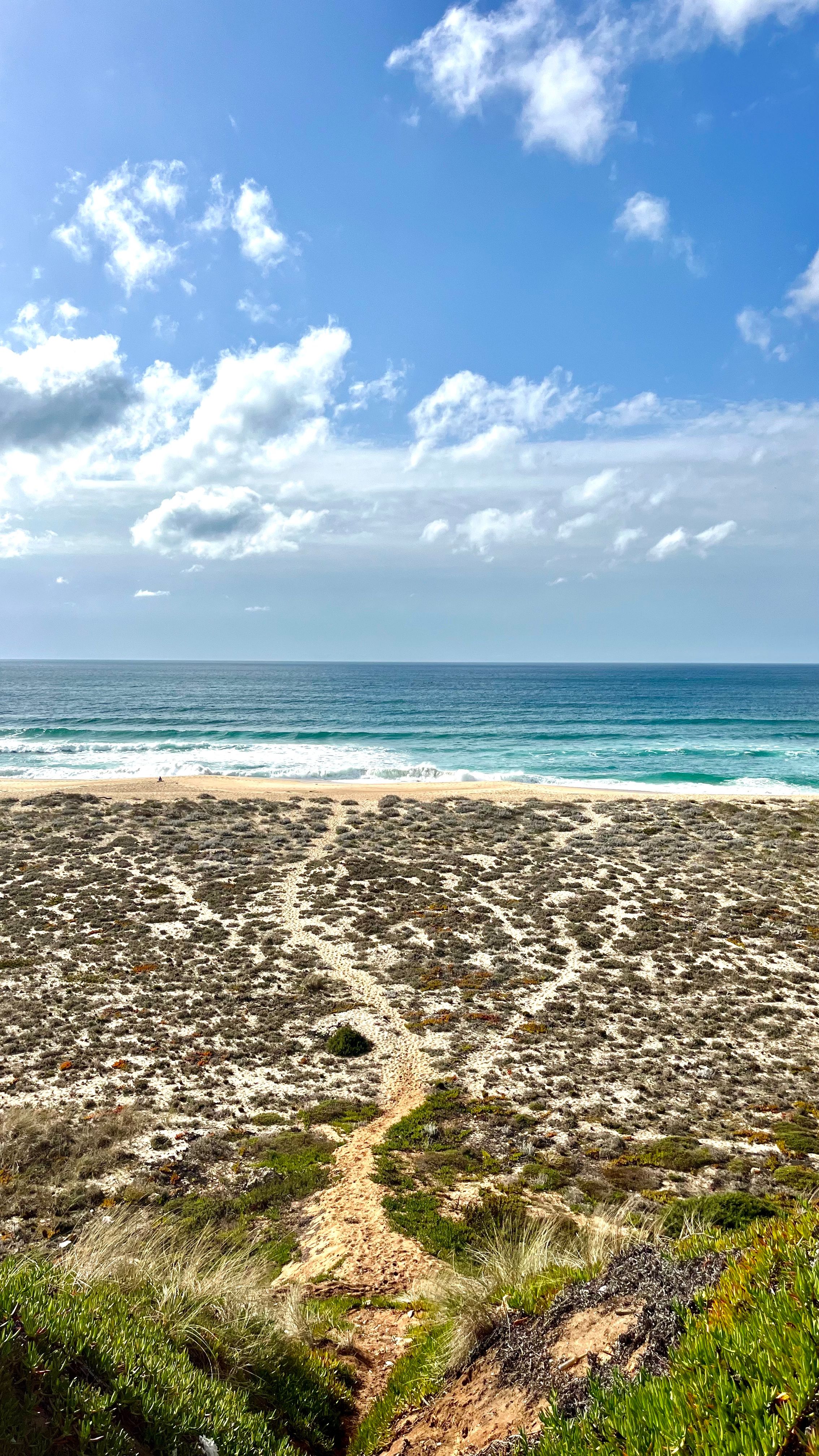 Vue depuis le parking de la plage de la Praia do Norte à Nazaré