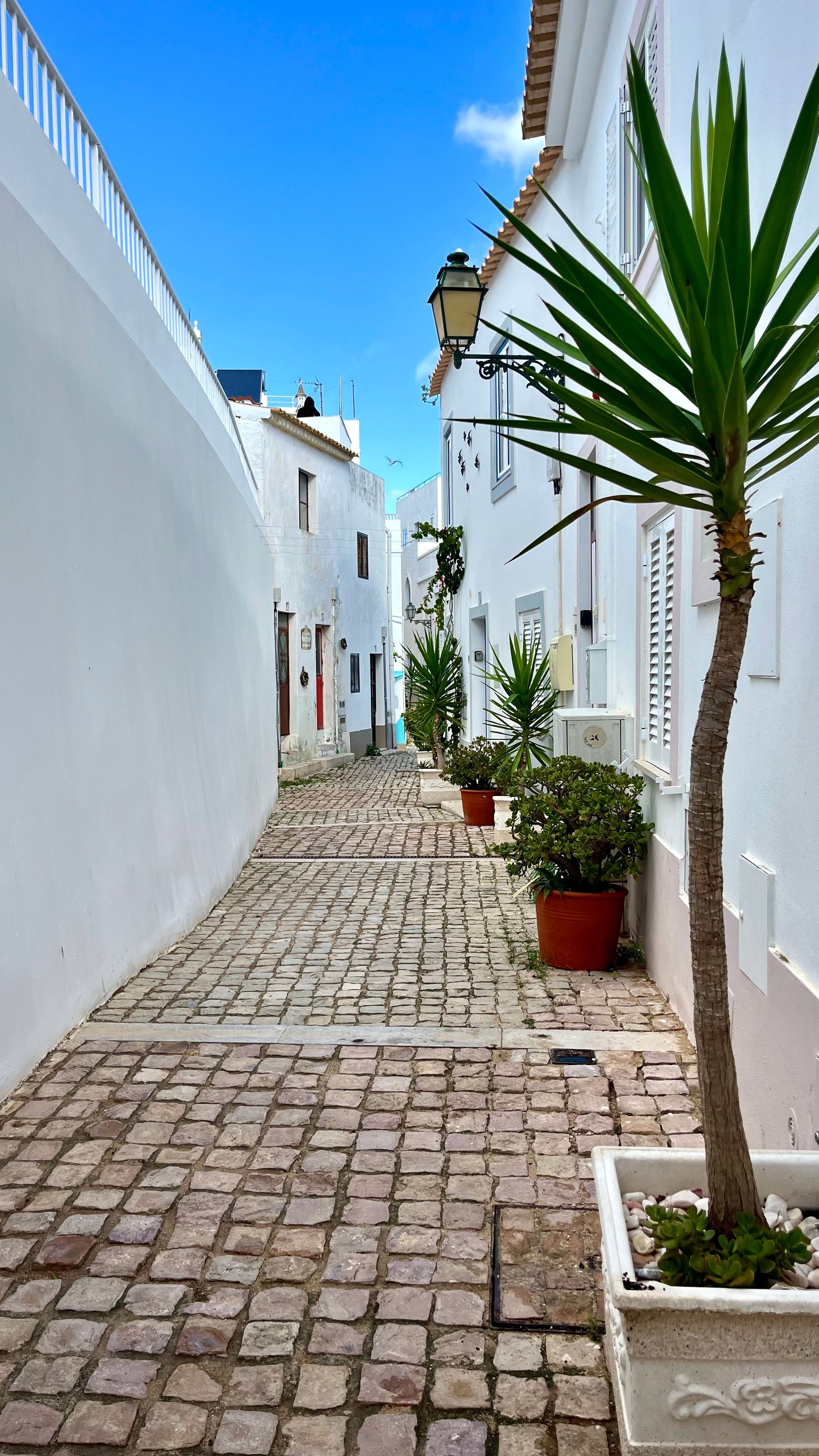 Une ruelle blanche de la ville portugaise d'Albufeira