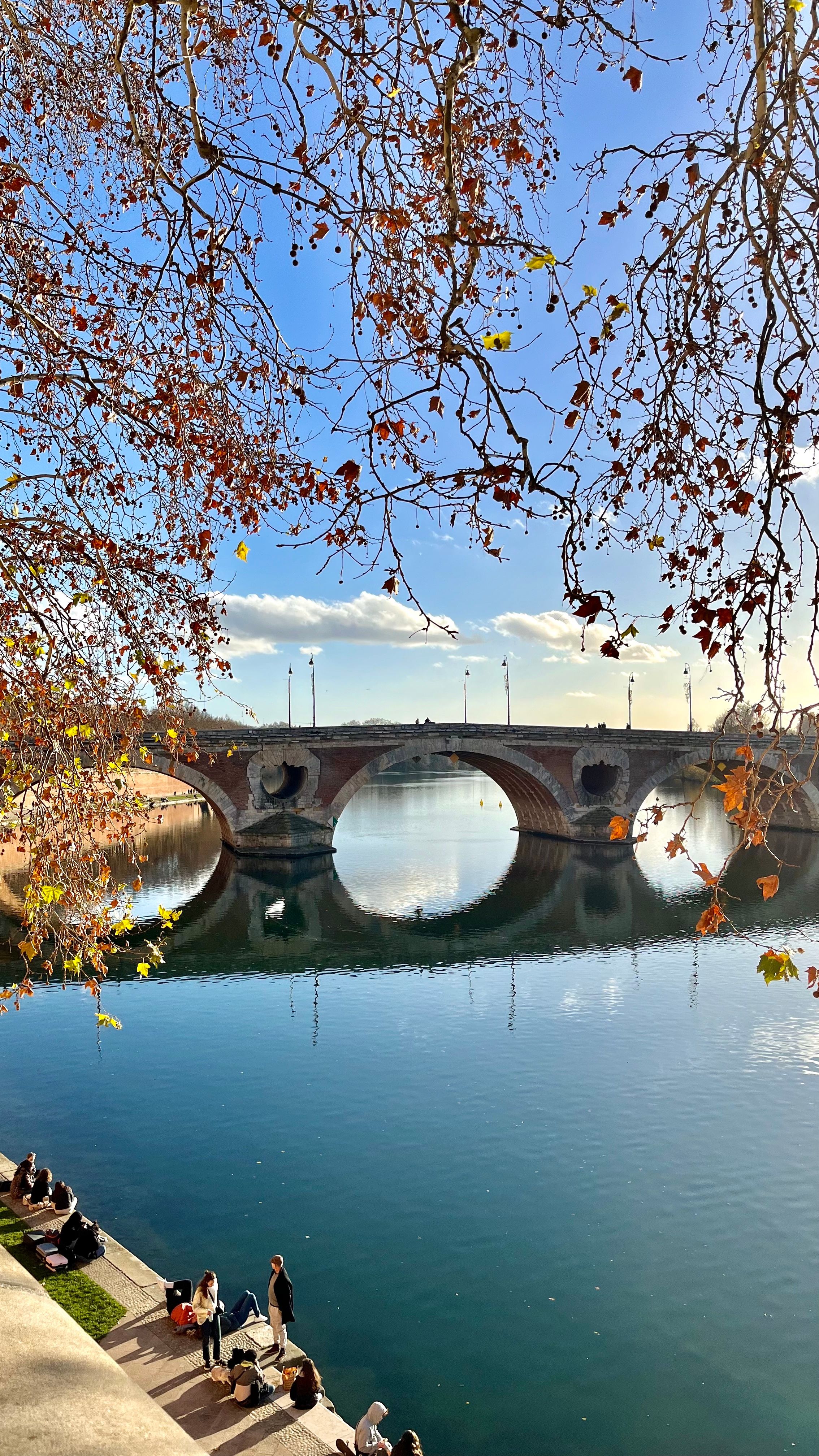 Un pont à Toulouse au dessus de la Garonne