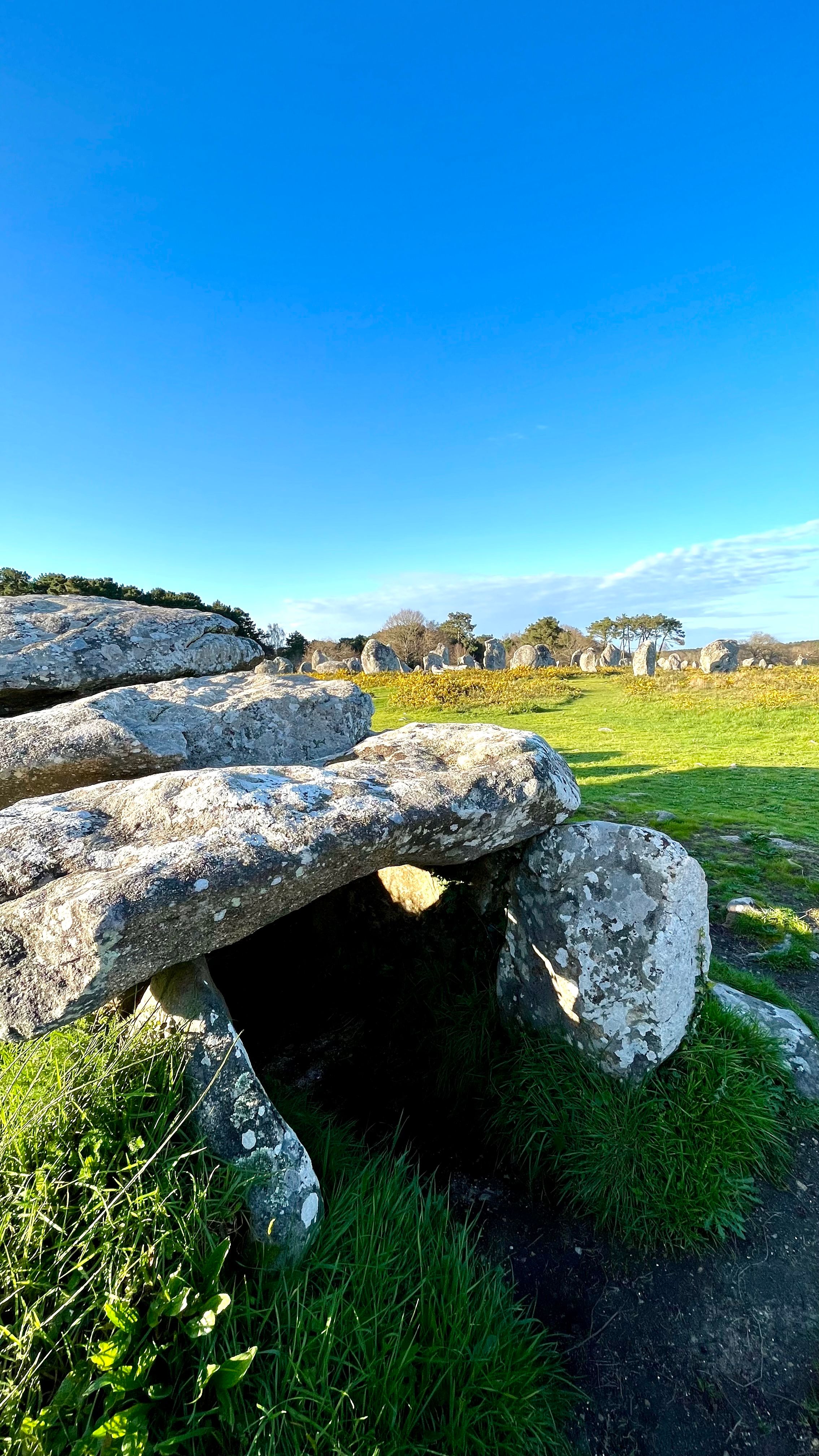 Des menhirs aux alignements de Carnac en Bretagne