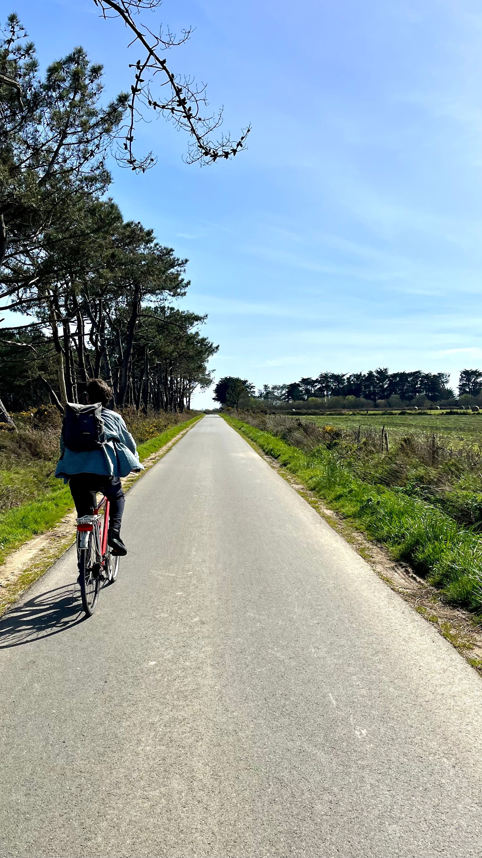 Un homme qui fait du vélo sur les pistes cyclables de Belle-Île en Mer