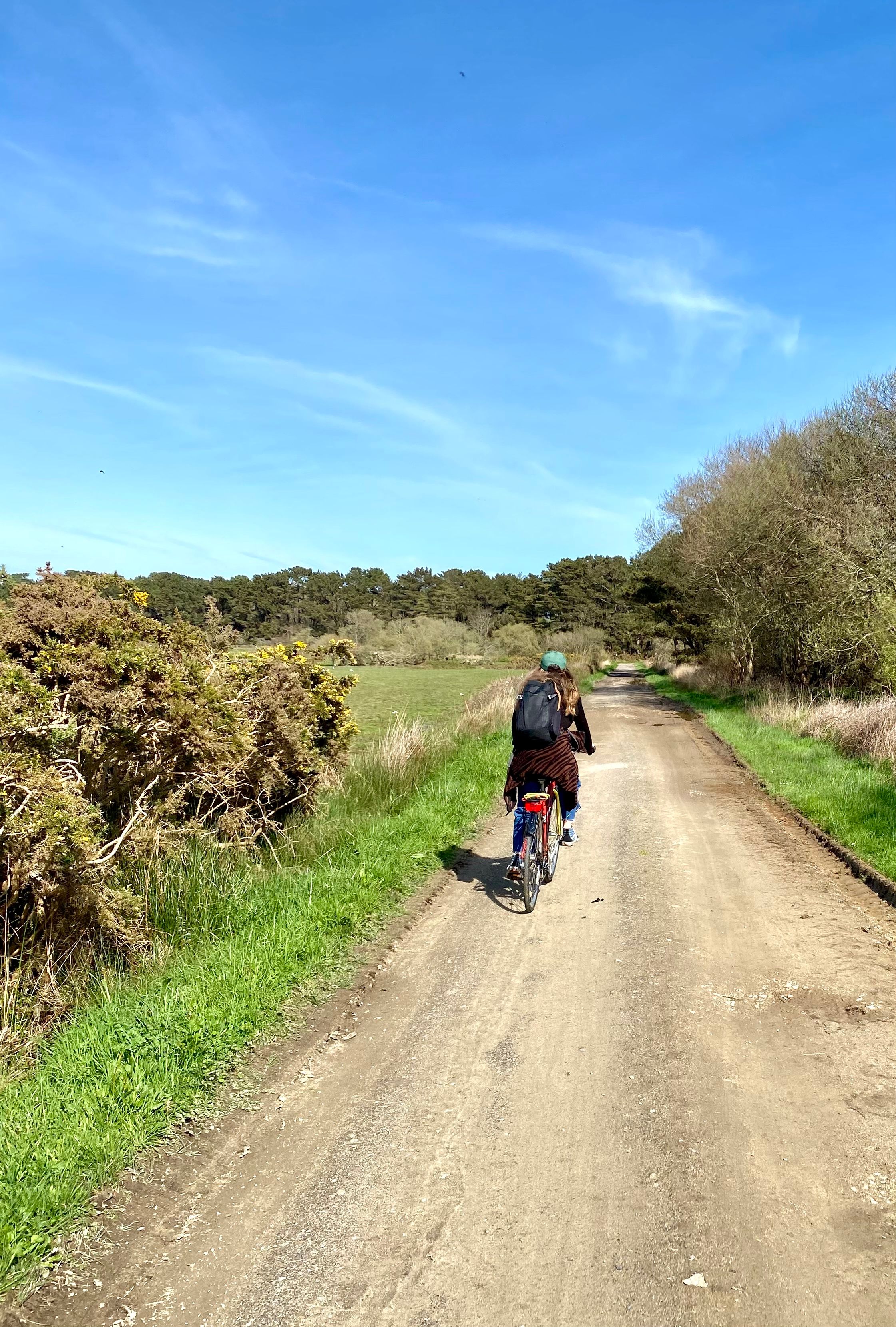 Une femme au milieu des champs sur une voie verte en vélo à Belle-Île