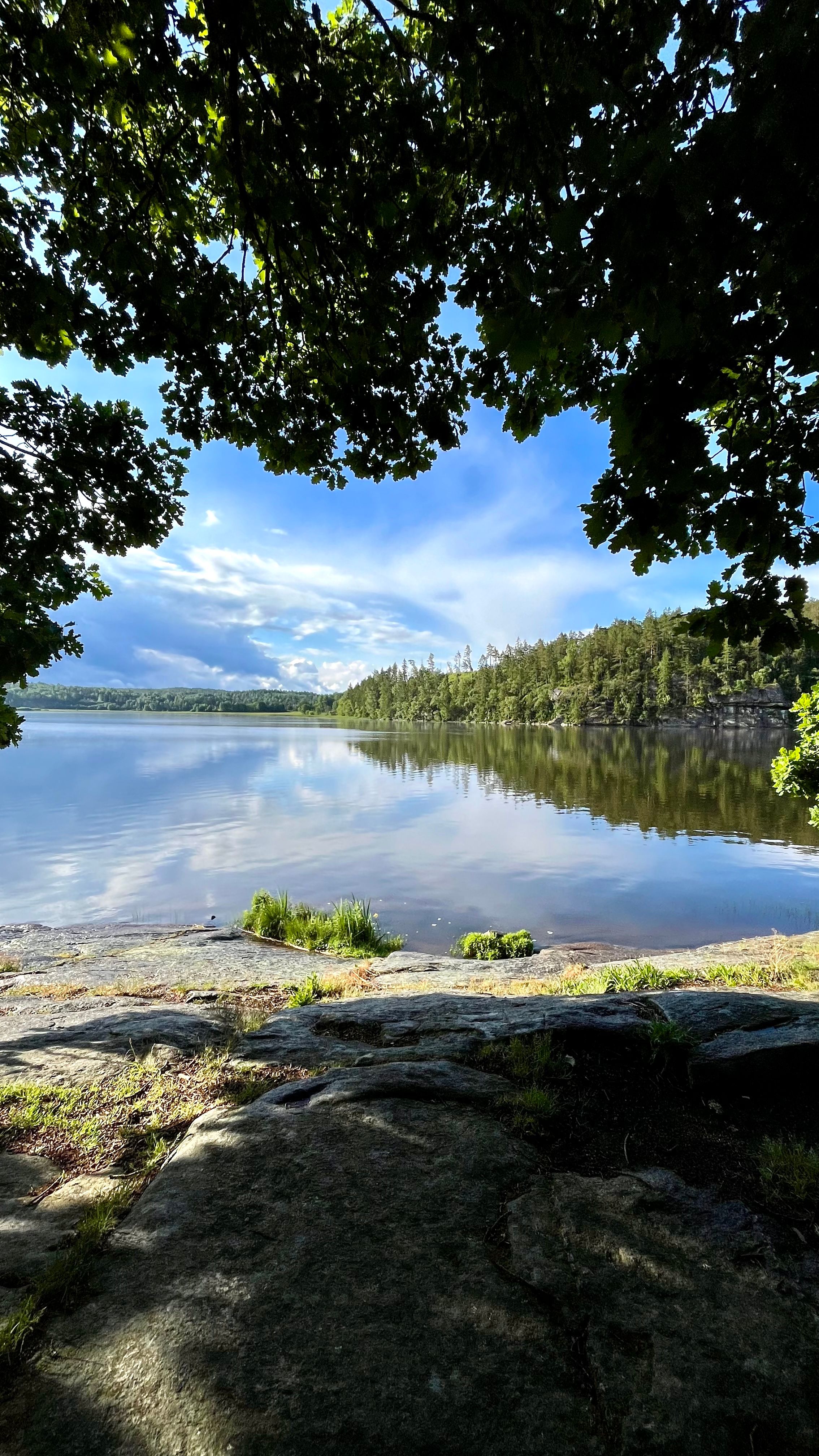 Un lac en Suède avec la forêt autour