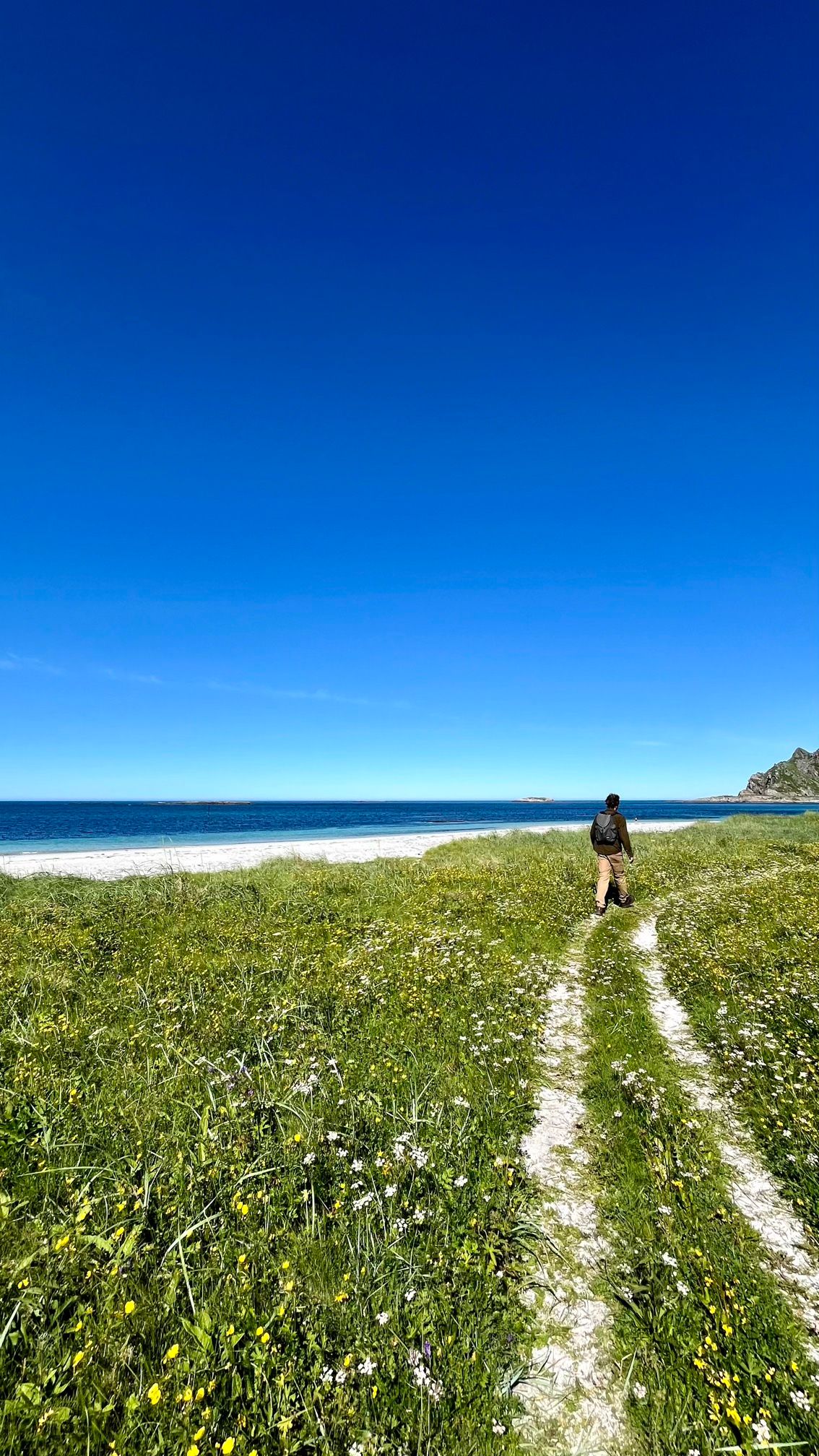 Accès à une plage proche de Bleik sur l'île d'Andøya en Norvège