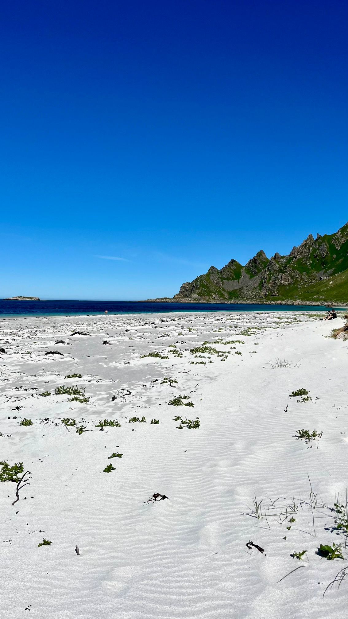 Une plage de sable blanc proche de Bleik sur l'île d'Andøya en Norvège