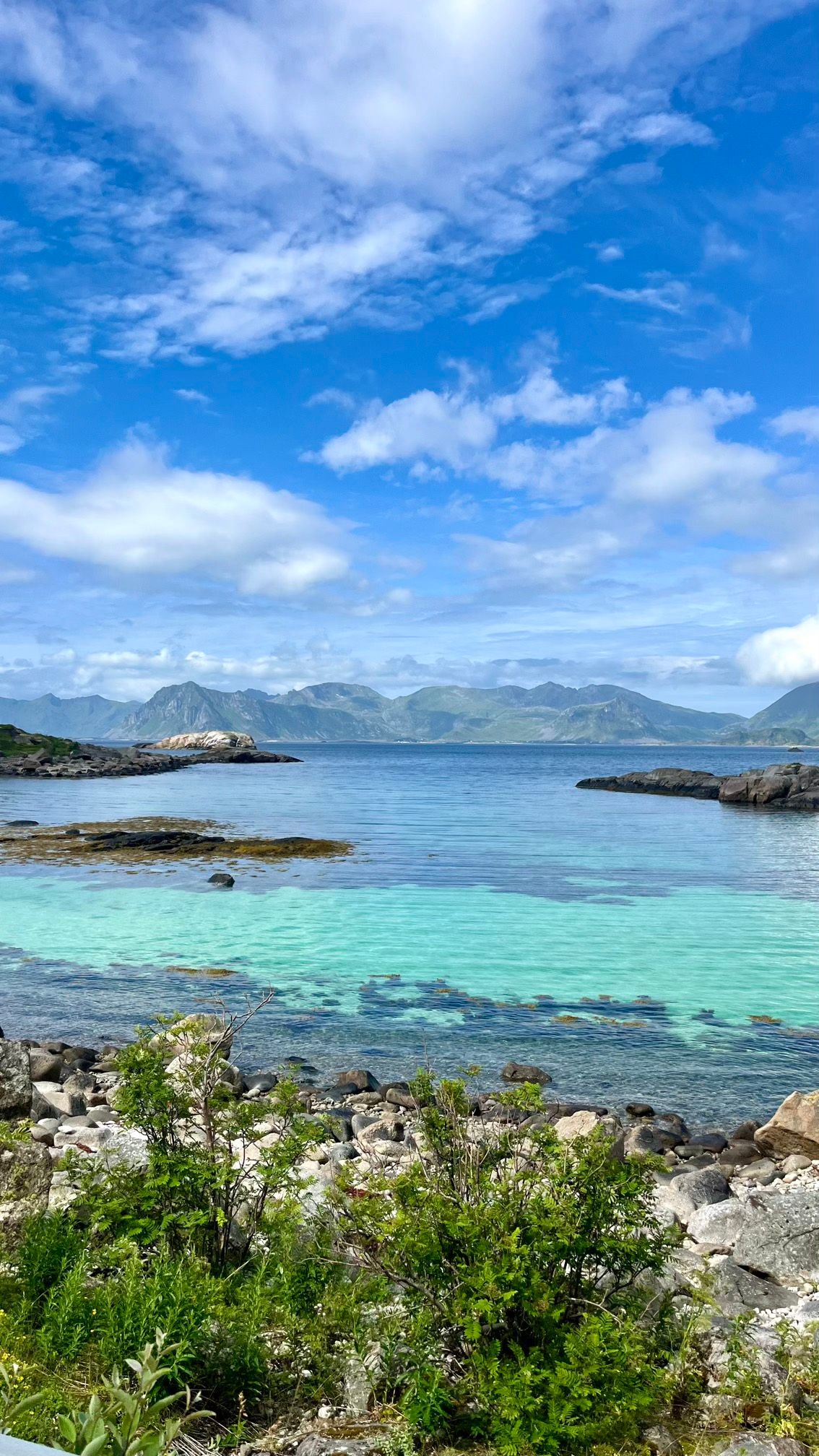 Vue depuis la route sur les îles Lofoten en Norvège