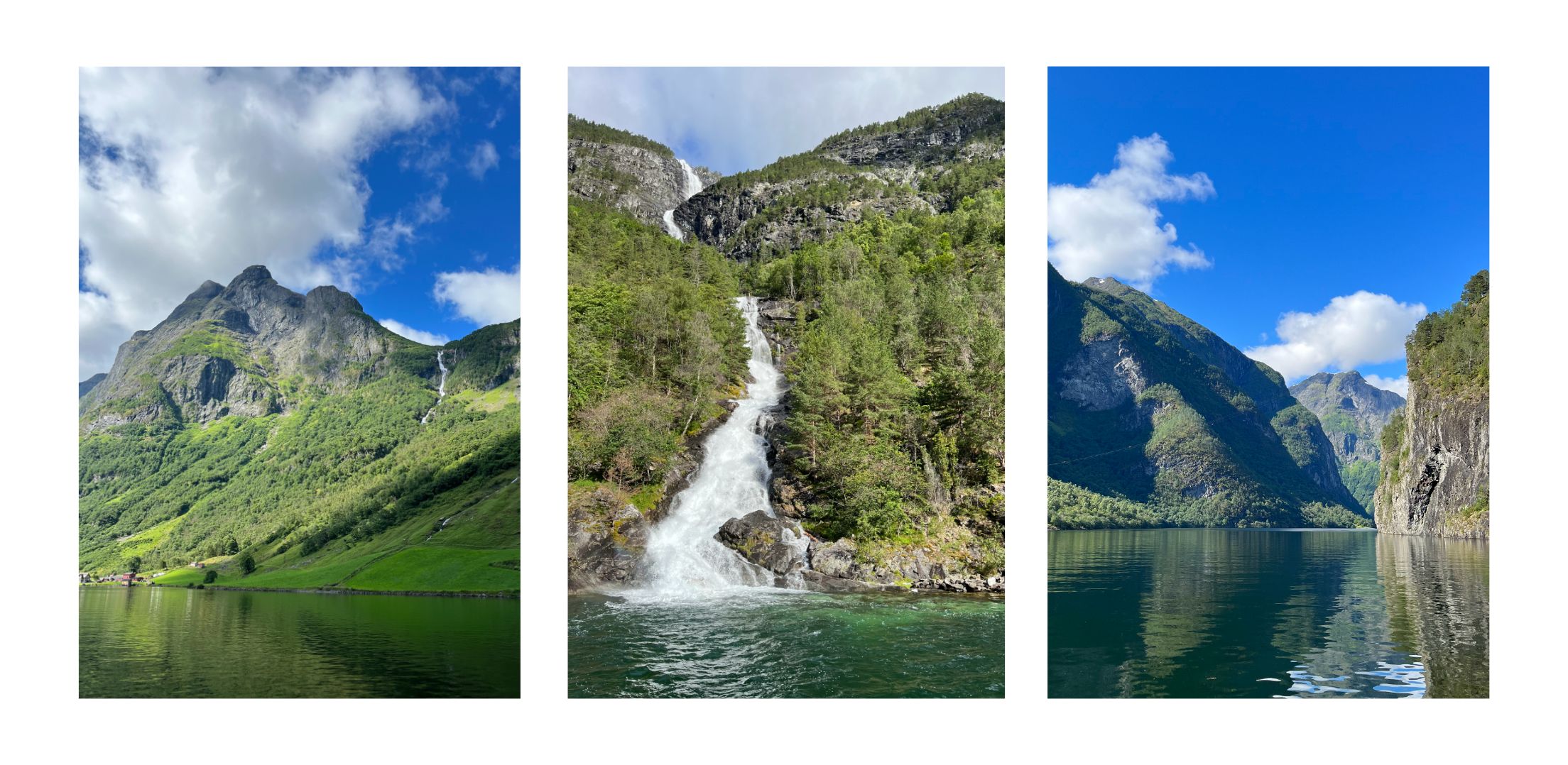 Croisière sur le Naeroyfjord.jpg